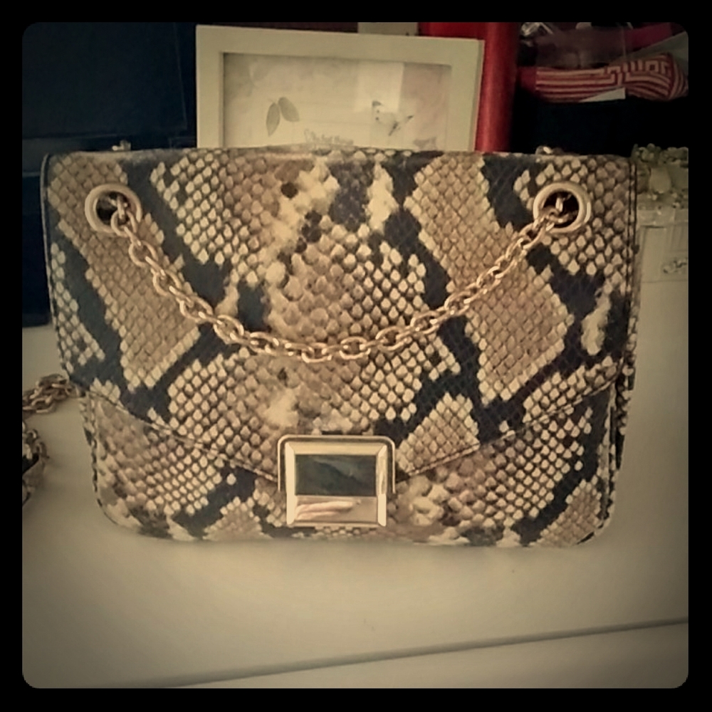 Aldo snake skin purse
